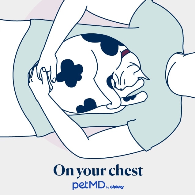 illustration of a cat sleeping on a human's chest