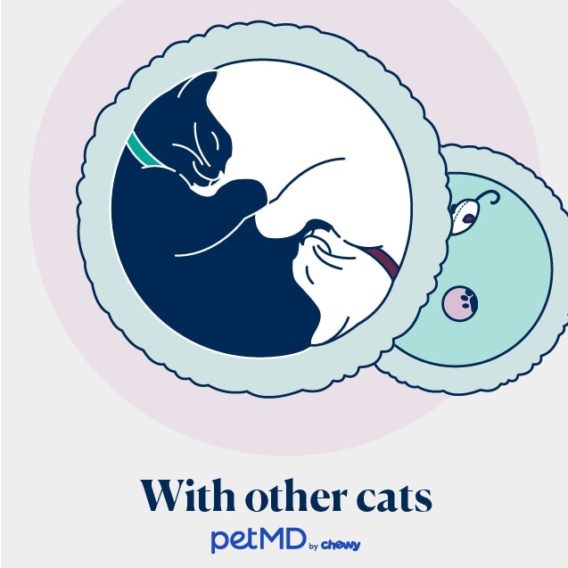 illustration of two cats sleeping together in a cat bed