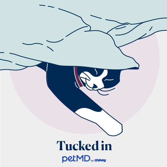 illustration of a cat sleeping tucked under a blanket