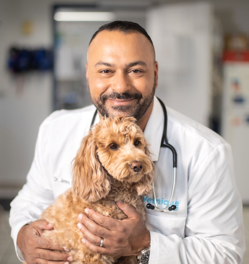 James Bascharon, DVM