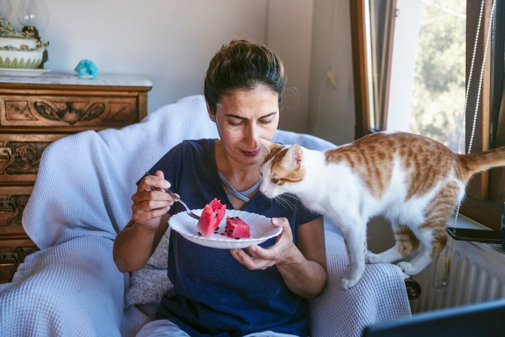 woman eating a watermelon with her white and orange cat watching