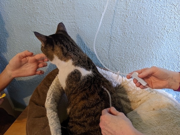 Adjusting the needle