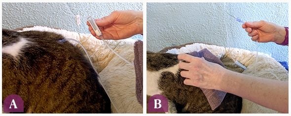 Removing the needle