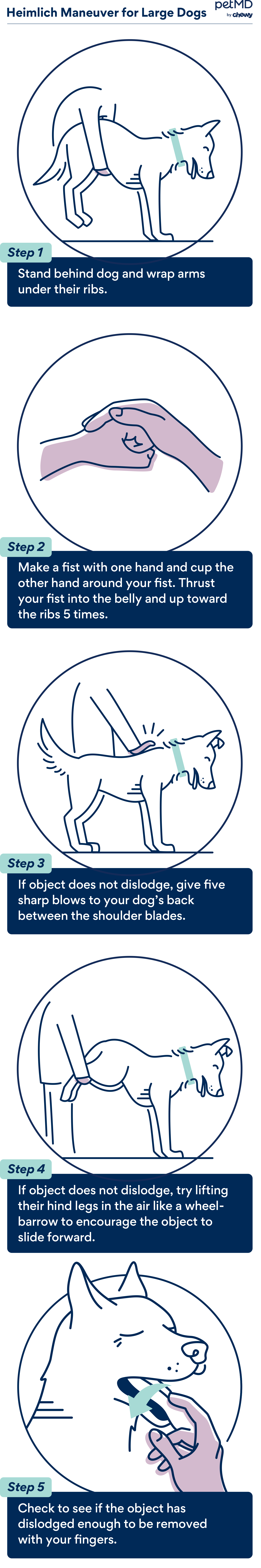 heimlich maneuver for large dogs