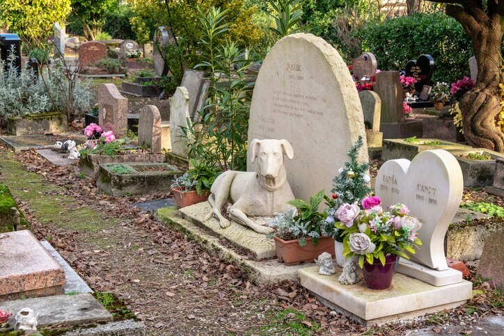 photo-of-pet-cemetary-in-france