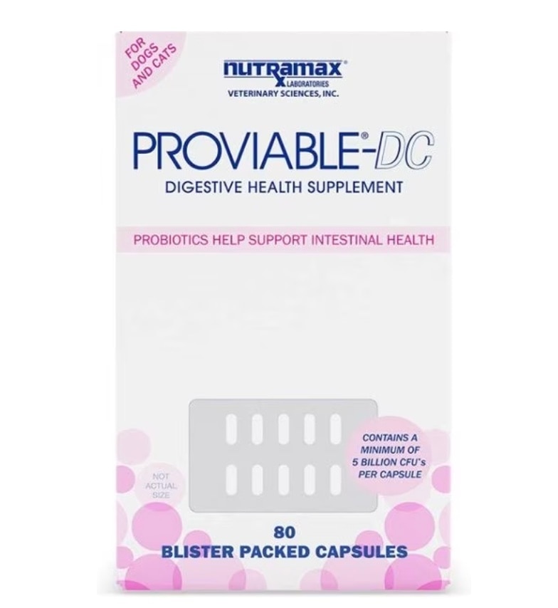 product image for Proviable probiotics