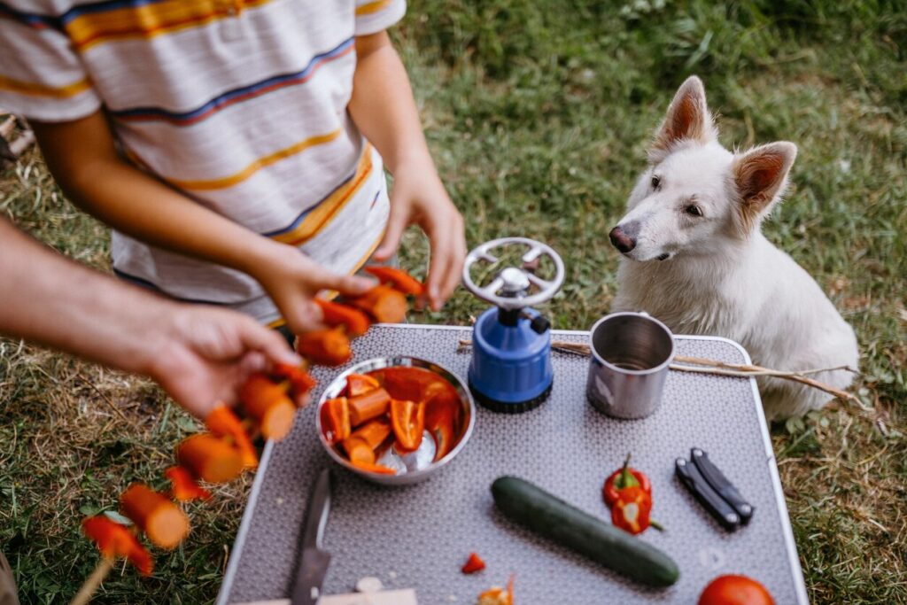 white dog looking up at bell peppers on a kabob