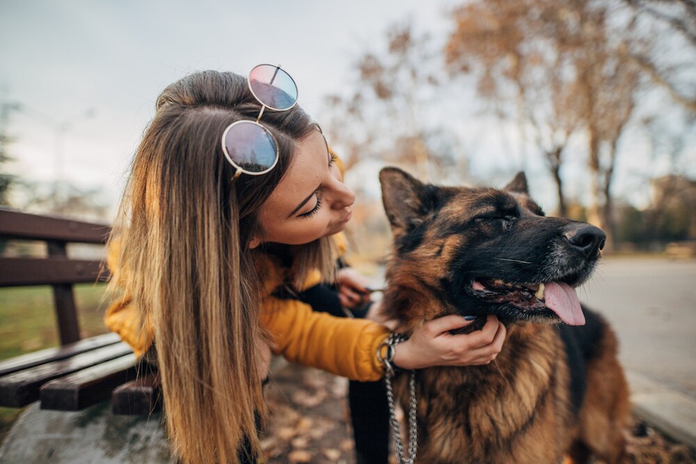 Dog friend