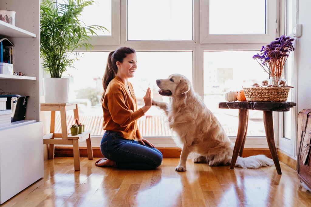 woman kneeling on the ground and high-fiving a golden retriever
