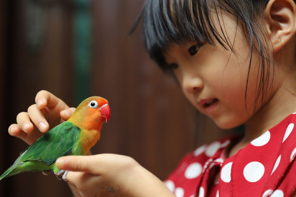 Girl holding pet bird