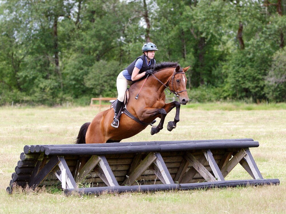 Horse jumping cross country