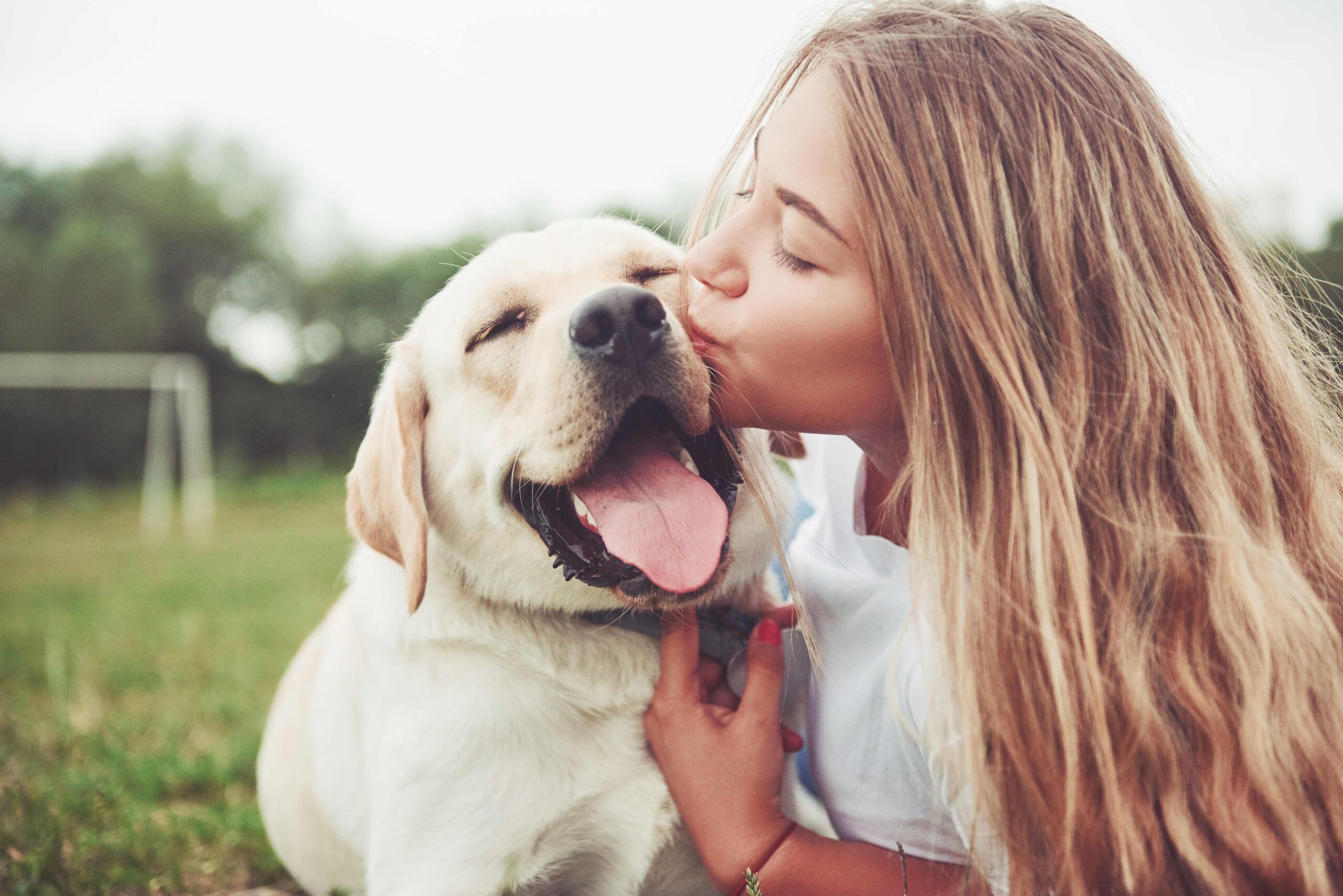 woman kissing her labrador retriever
