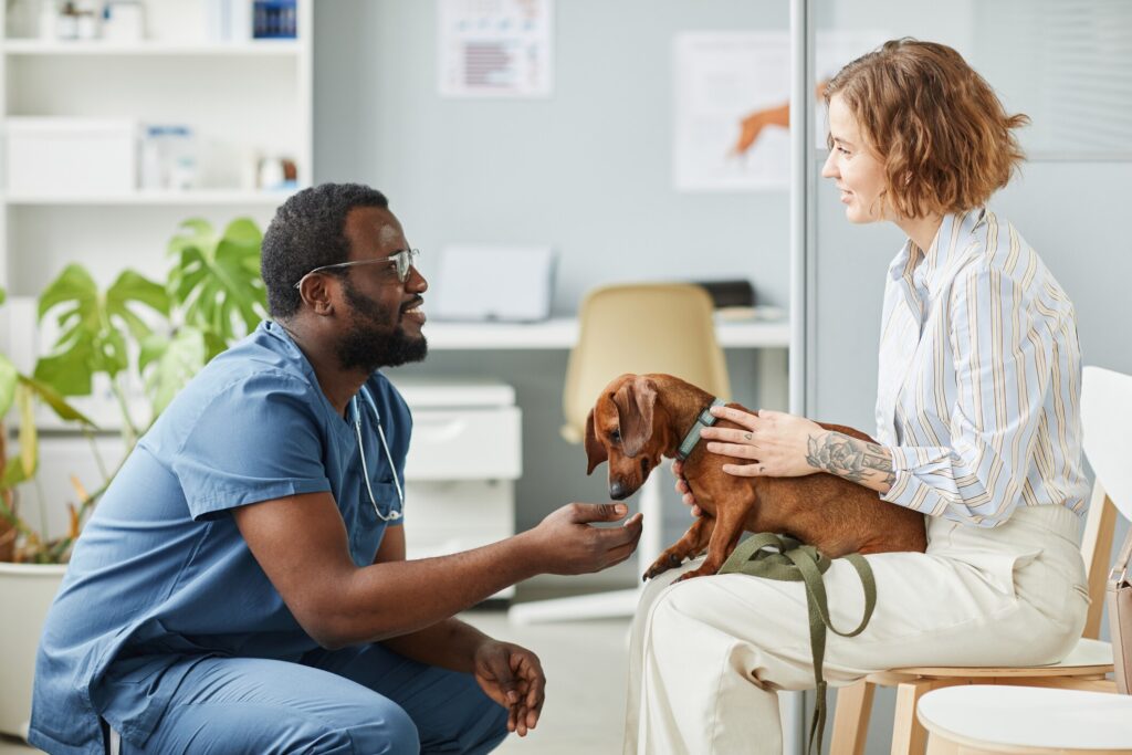 woman-talking-to-vet-while-holding-dog