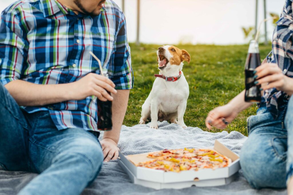 dog sitting between two picnicking humans who are eating pizza