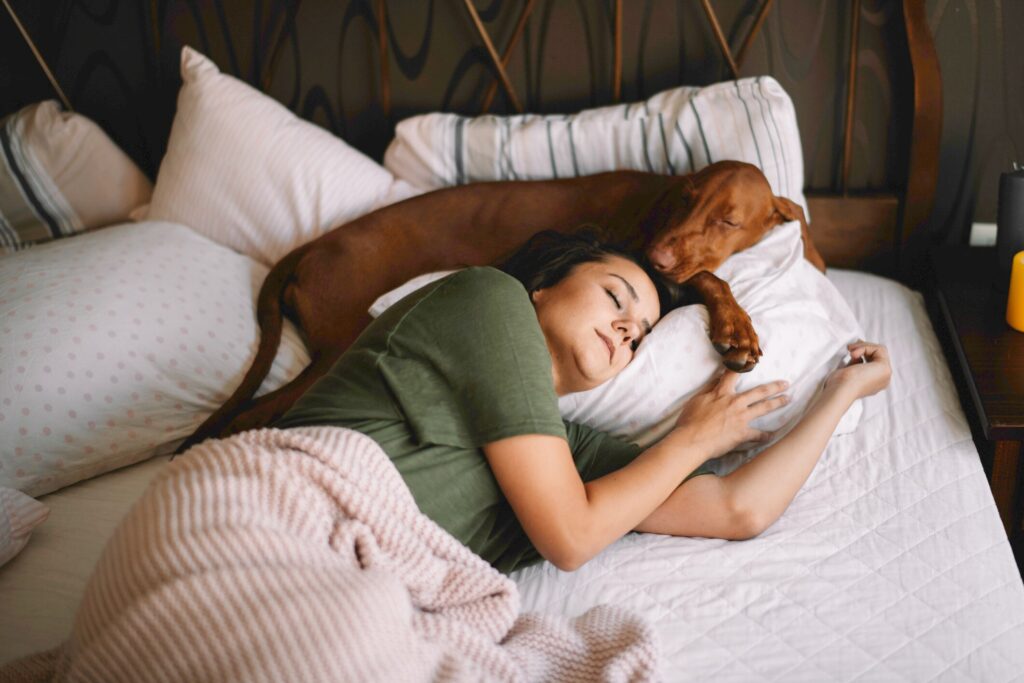 A pet parent sleeps with their dog.