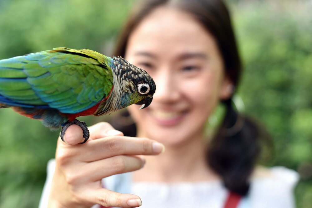 Woman playing with pet bird