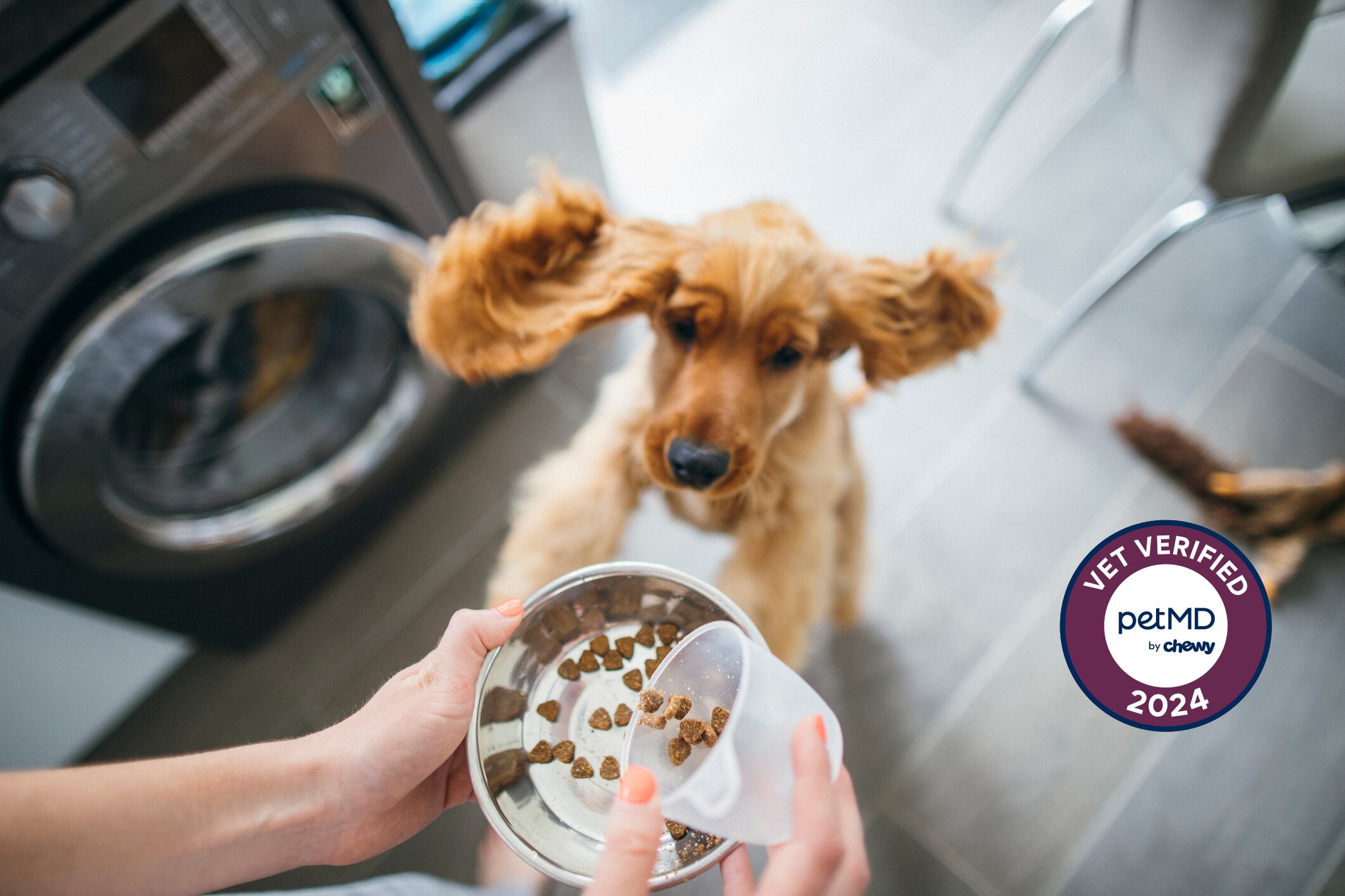 Vet Review of Purina ProPlan FortFlora dog antiobiotic