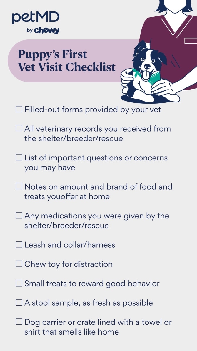 A puppy's first visit checklist chart.