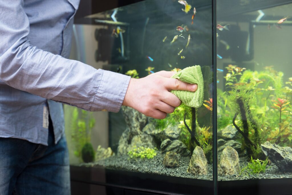 Man cleaning fish tank