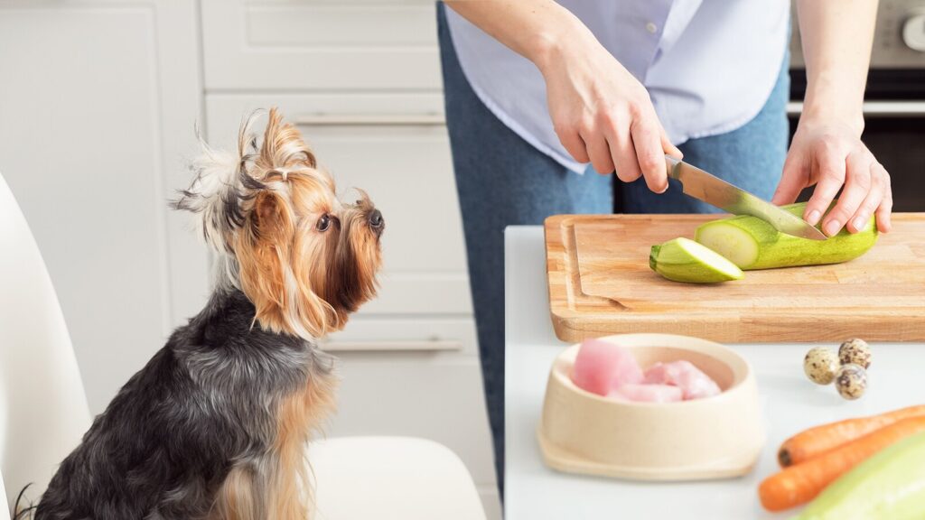 can dogs eat squash: dog watching pet parent cut zucchini