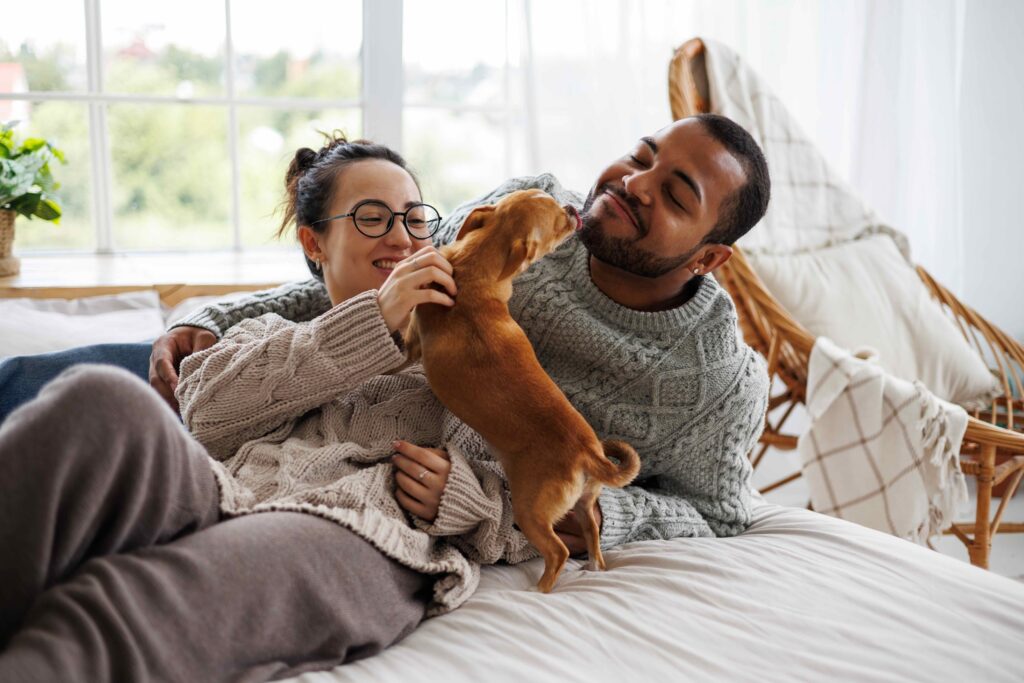 A couple lounges on a bed with a brown Chihuahua, who is licking their faces. Learn how to bond with a dog.