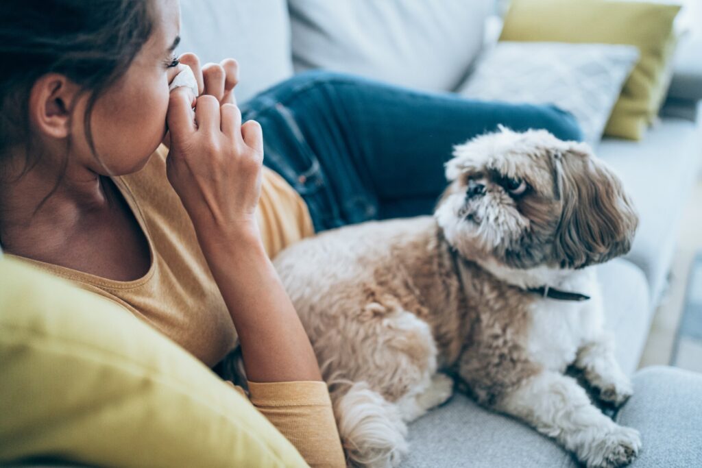 woman-sneezing-next-to-dog-on-couch