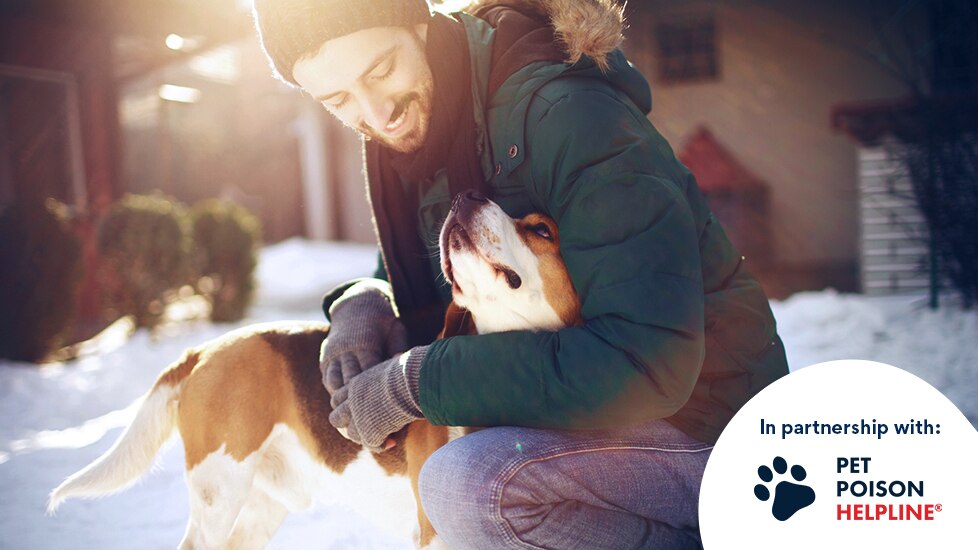 man playing in snow with dog