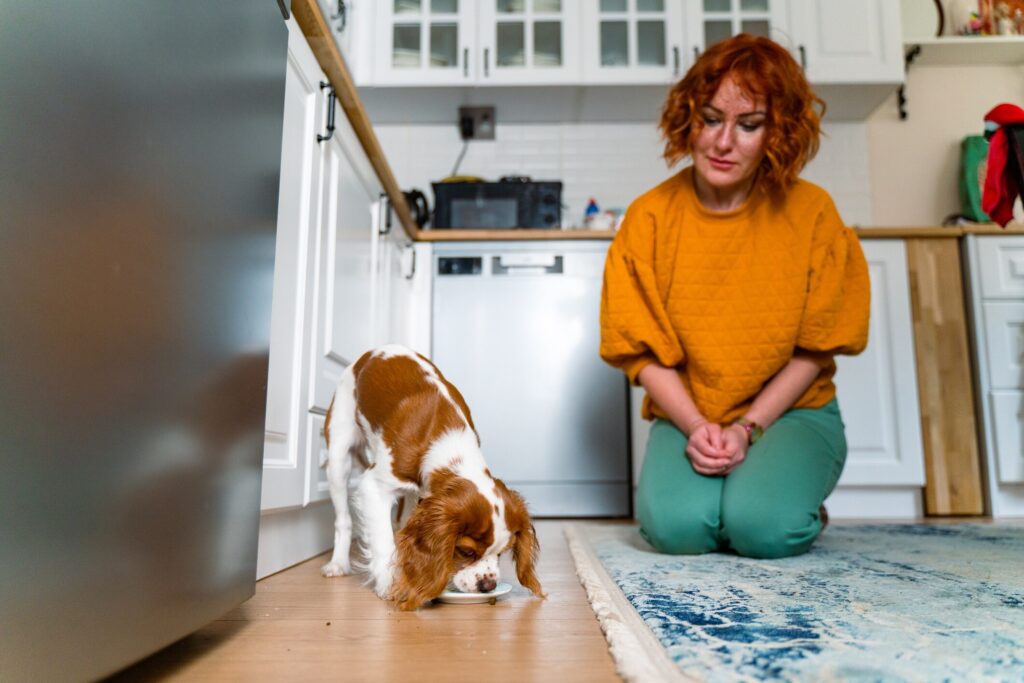 woman feeding a king charles spaniel on the kitchen floor