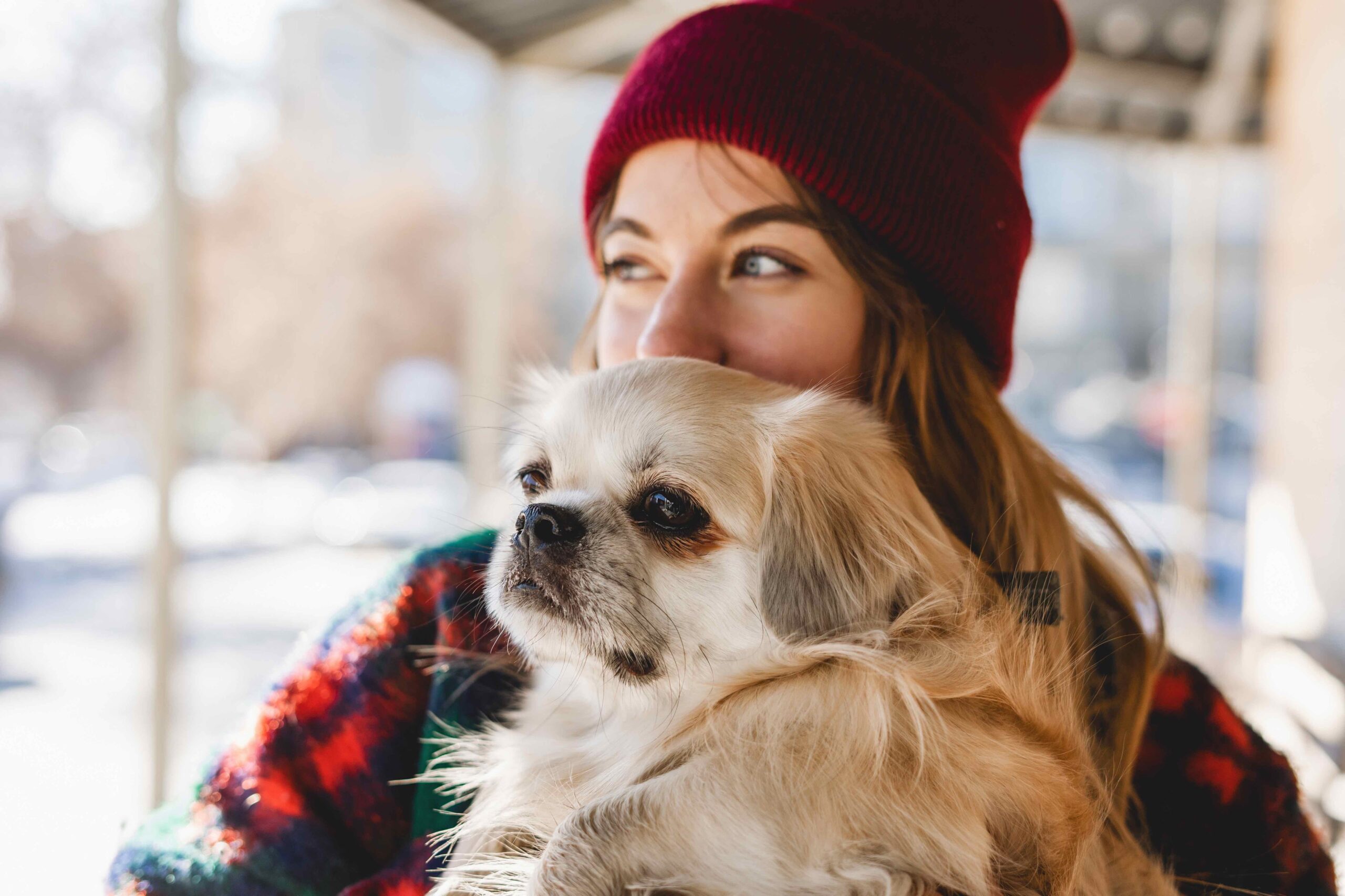 woman holding a cream-colored tibetan spaniel dog
