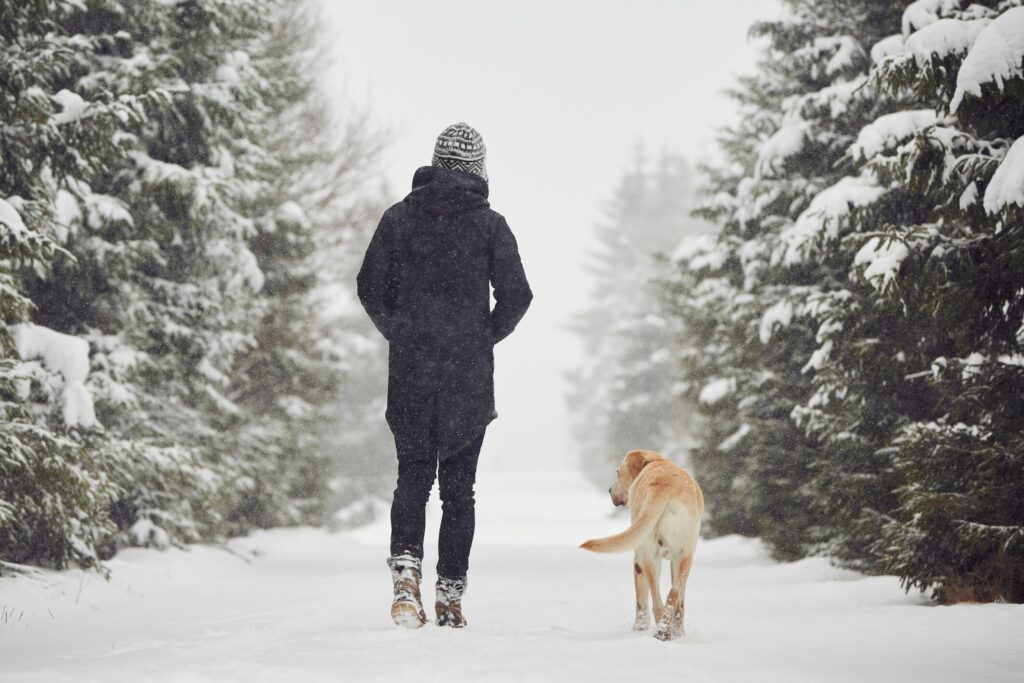 A pet parent walks with their dog through the snow.