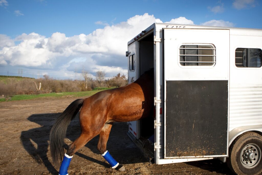 Horse trailer loading