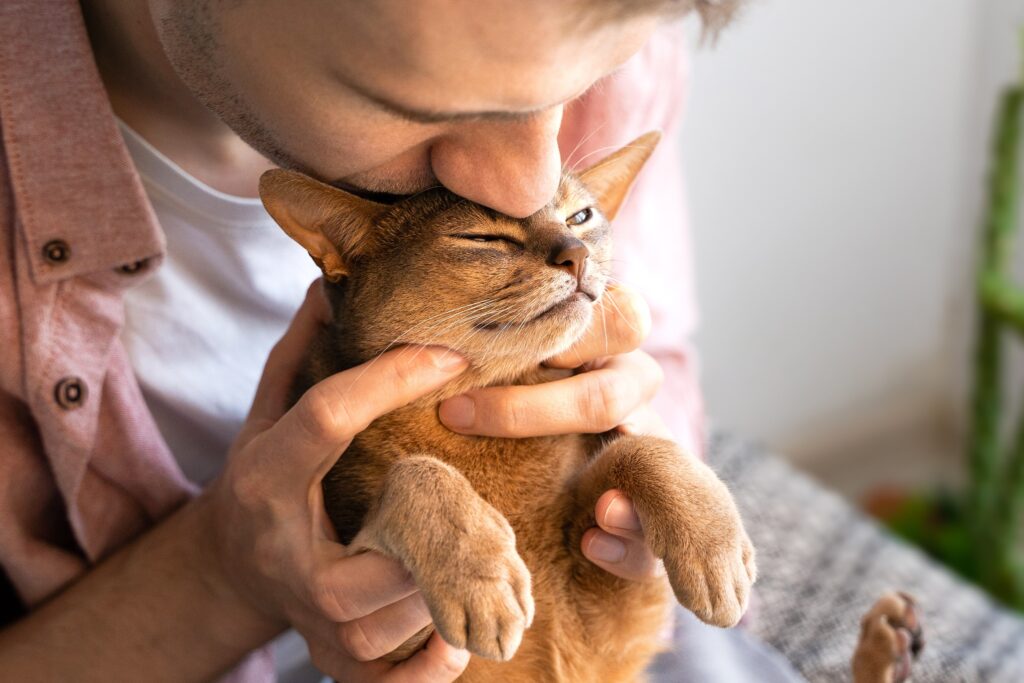 man kissing cat's forehead