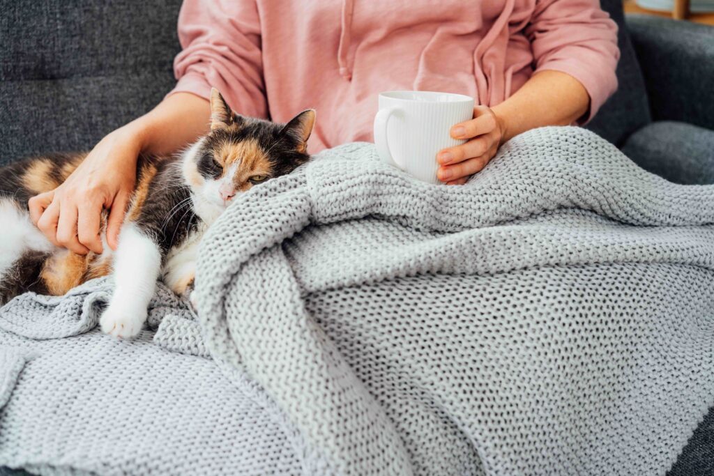 calico cat snuggling with a woman on a blanket