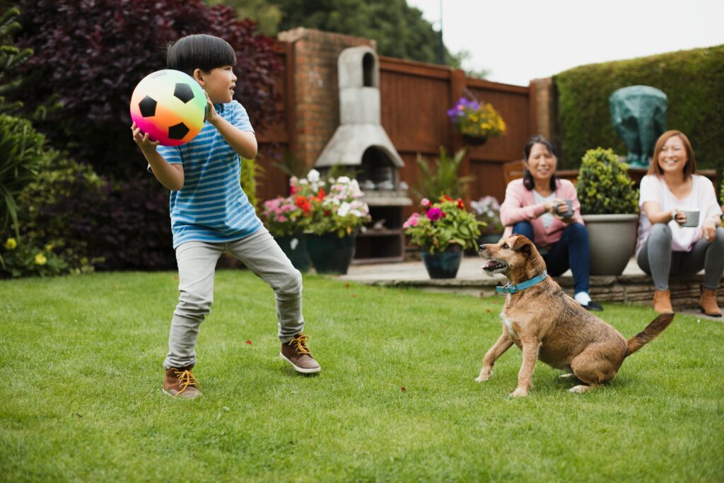 A dog plays with his family.