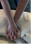 interdigitated fingers during dog cpr