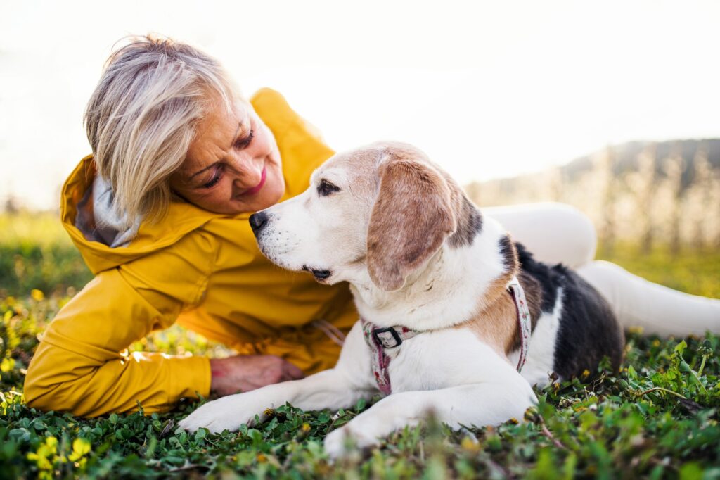A woman pats her senior dog.
