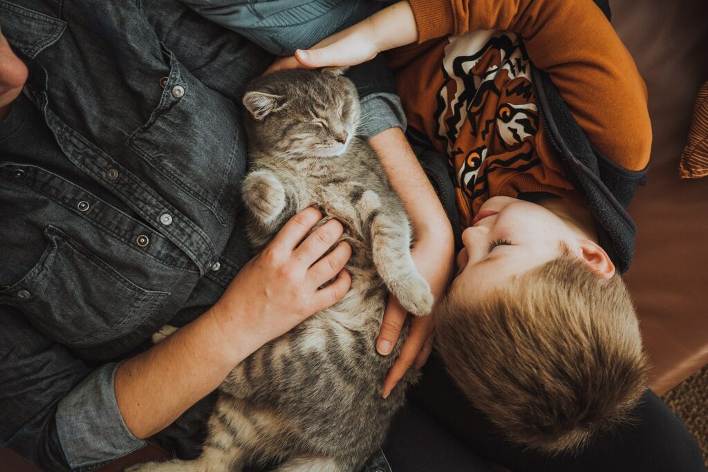 A cat is cuddled by their family.