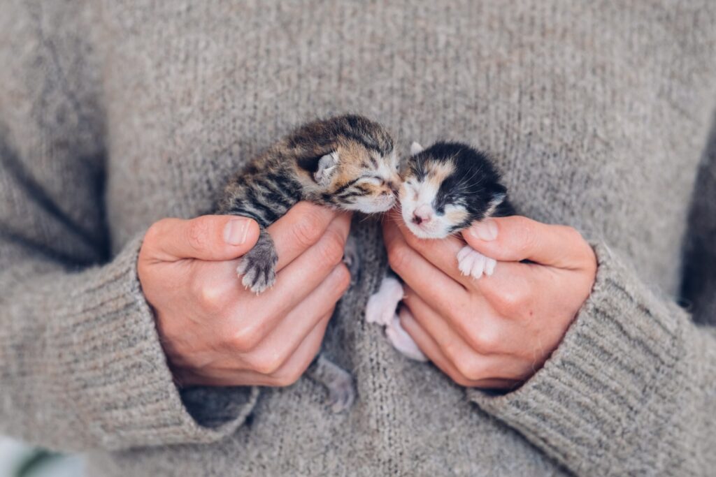 woman holding two tiny kittens to her chest with their eyes both closed