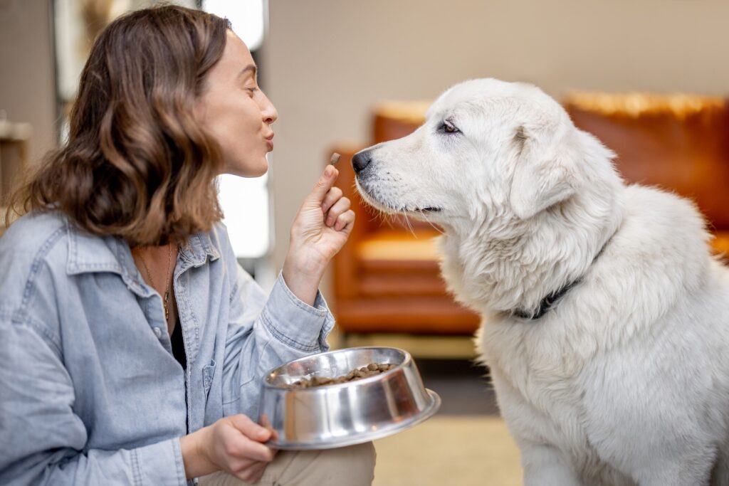 woman feeding a golden retriever a treat
