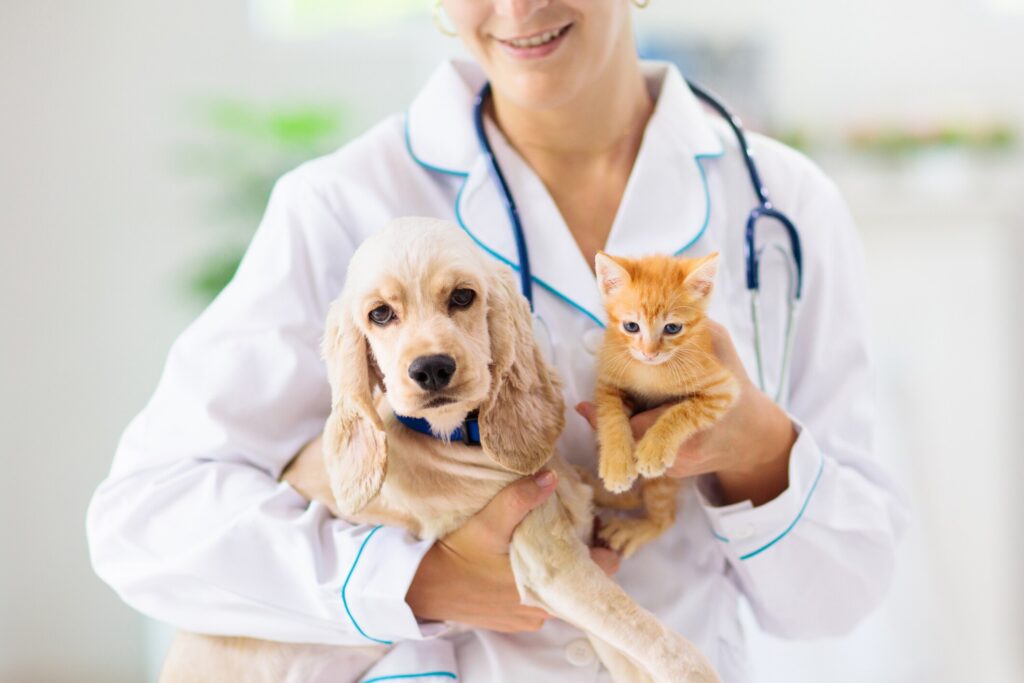 A vet holds a puppy and a kitten.
