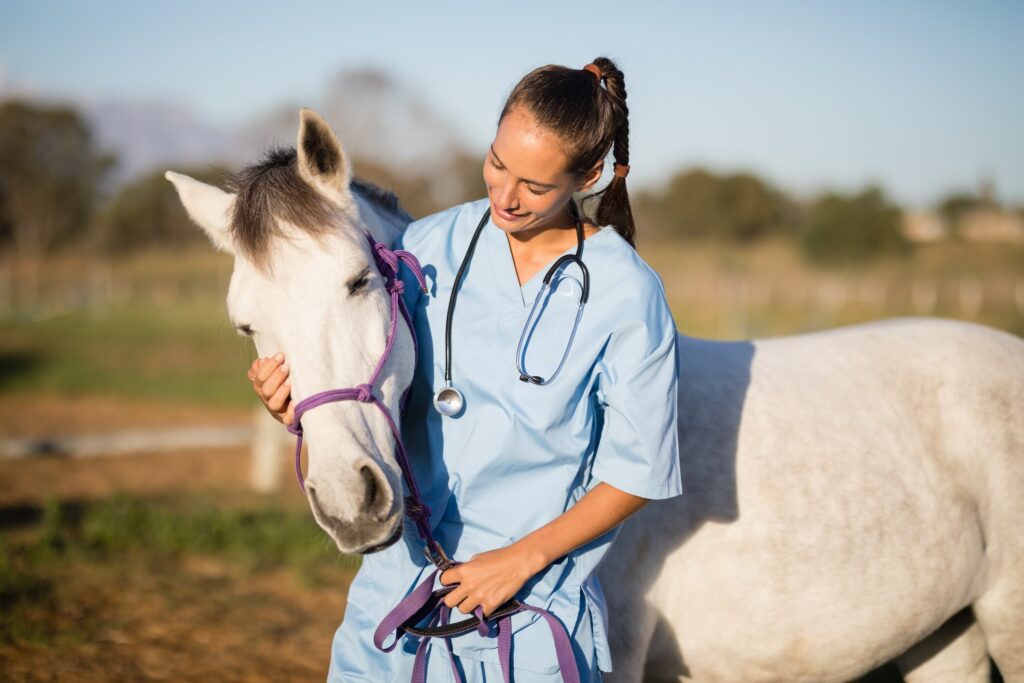 equine vet petting horse