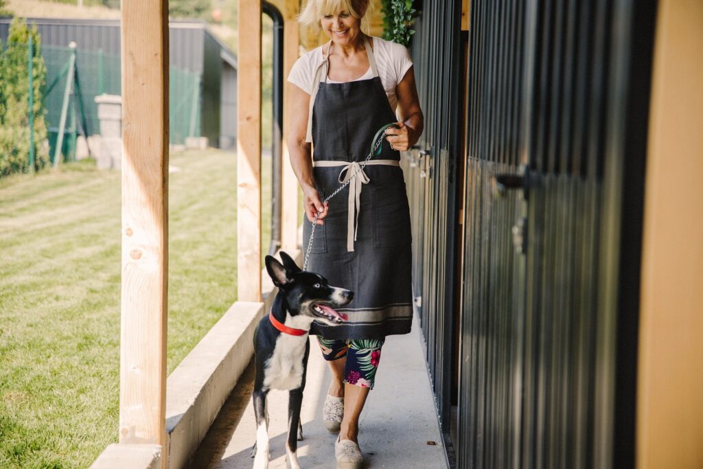 A dog walks with a boarding kennel employee.