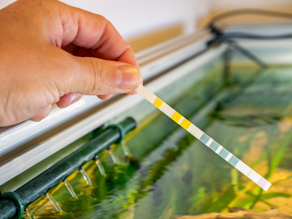Fish tank water test strip