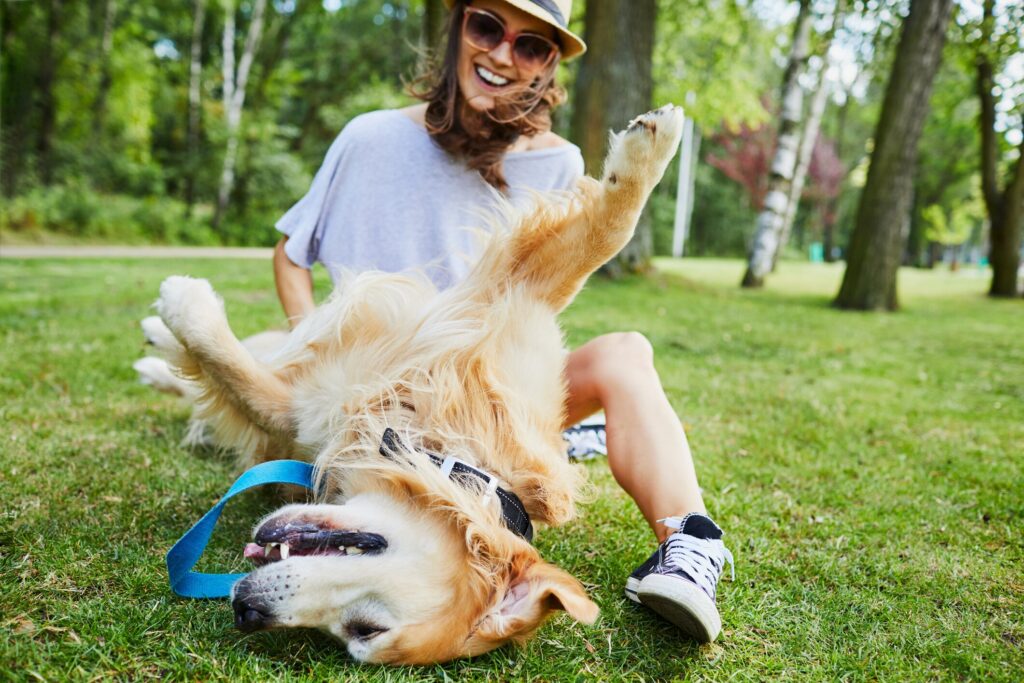 A pet parent tickles her dog.