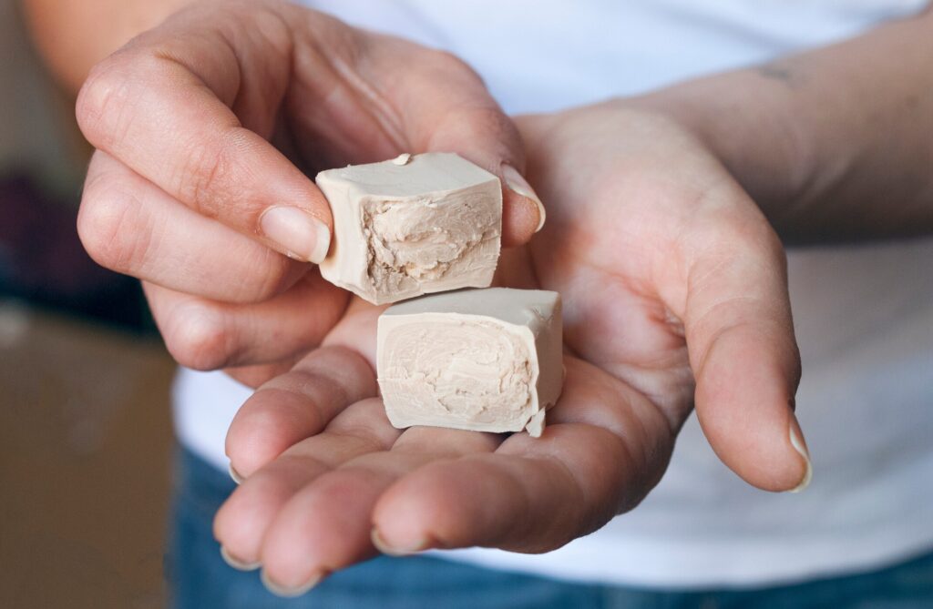 Brewer's yeast for dogs is held in a pet parent's hands.