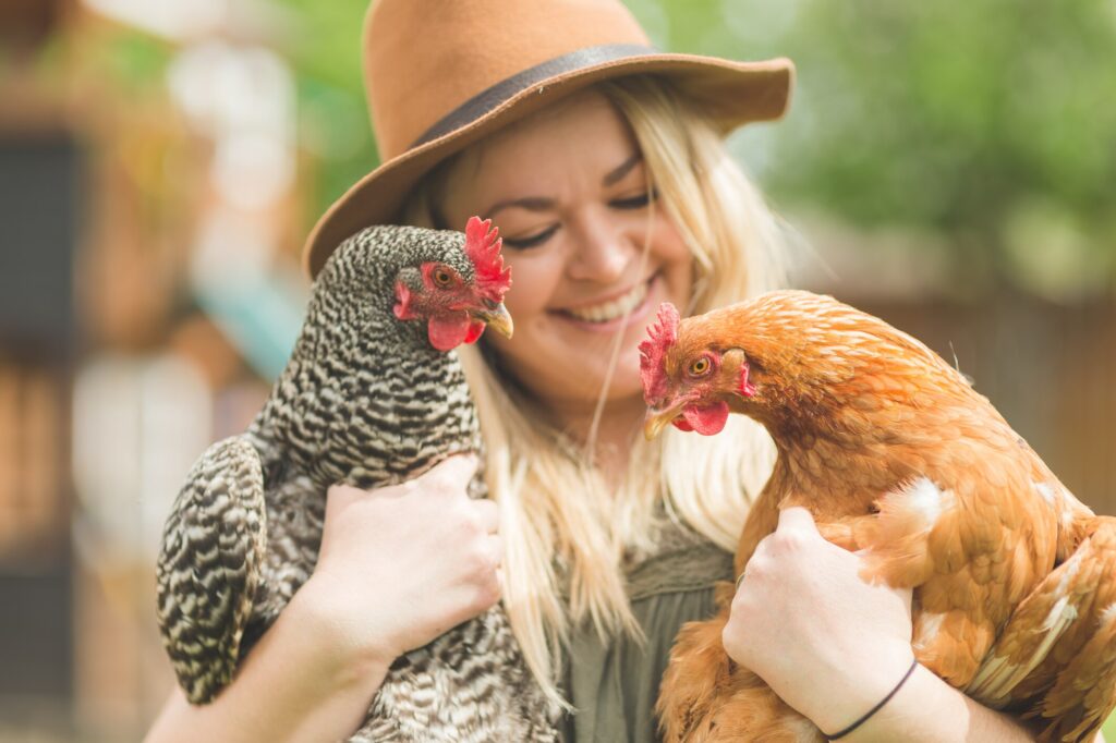 Backyard chickens: A pet parent cuddles with her chickens.