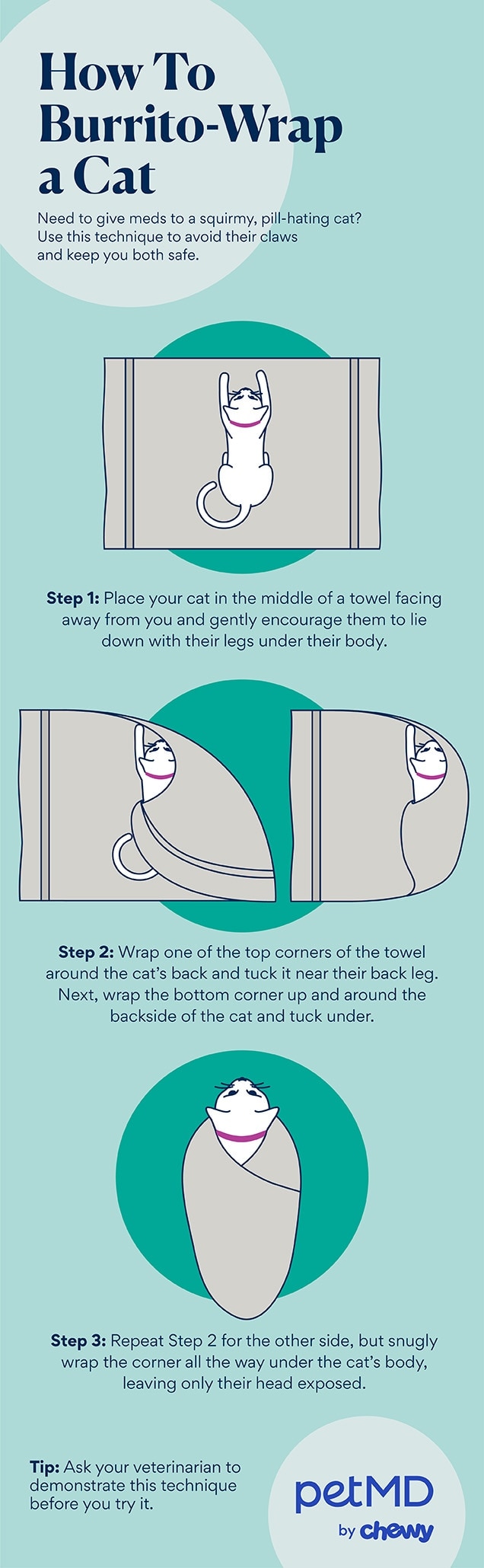 how to burrito-wrap a cat infographic petmd