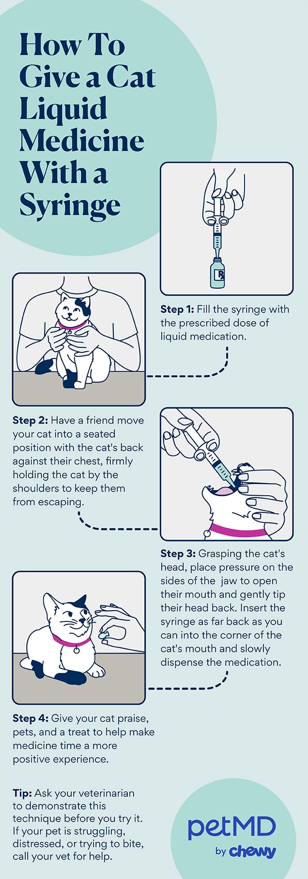 how to give a cat liquid medicine with a syringe infographic petmd