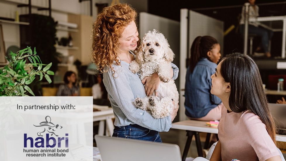 bringing your dog to work; woman holds dog in a pet friendly office