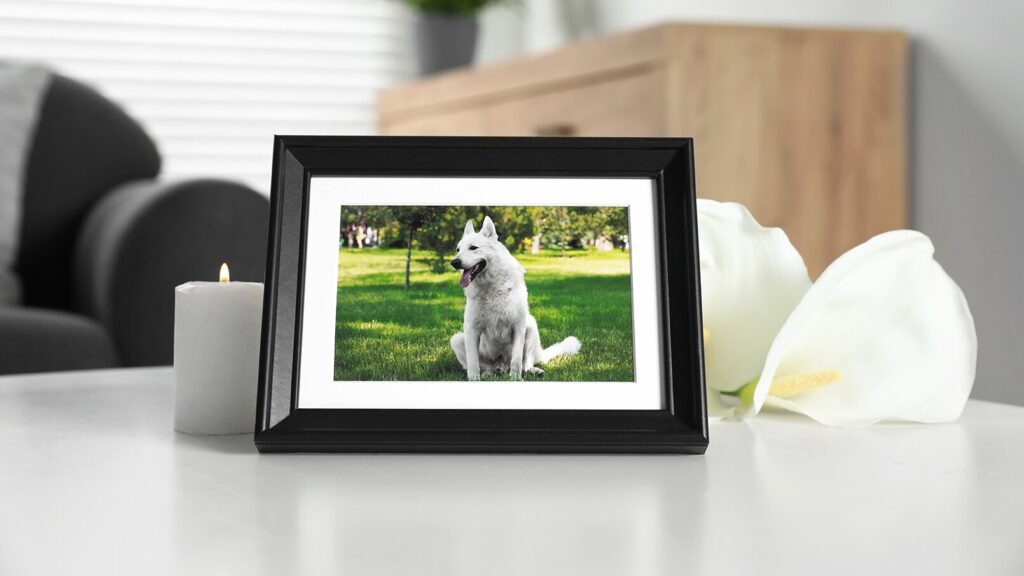 what to say to someone who lost a pet: framed picture of dog next to calla lily flowers